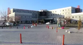 Prematüre üçüzler 3 aylık hayat mücadelesini kazandı