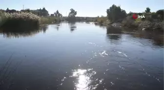 Büyük Menderes Nehri kirliliğine Bakanlık el attı