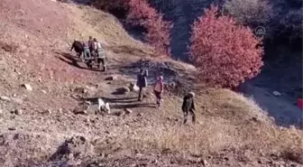 Devrilen otomobildeki 2 kişi yaralandı