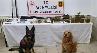 Didim'de evinden samuray kılıcı çıkan uyuşturucu taciri tutuklandı