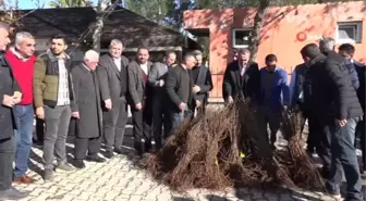 Kahtalı çiftçilere 10 bin nar fidanı dağıtıldı