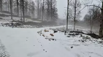 Düzce'nin yüksek kesimlerine kar yağıyor