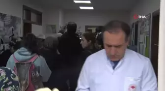 İl Tarım ve Orman Müdürü Karaca: 'İstanbul'da 220 bin kedi ve 103 bin köpeğin mikroçipleme işlemlerini bitirdik'