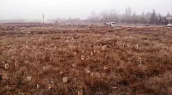 Ürgüp Belediyesi Yol Çalışmalarına Devam Ediyor