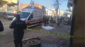 AĞABEYİNİ ÖLDÜRDÜKTEN SONRA ANNESİNİN MEZARININ BAŞINDA İNTİHAR ETTİ