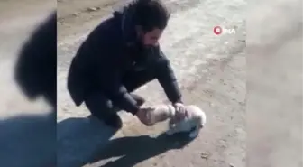 Kafası kavanoza sıkışan yavru köpeği vatandaş kurtardı