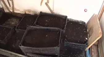 Köy Yaşam Merkezi'nde öğrenci ve veliler birlikte eğitim alıyor