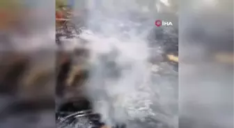 Meksika'da araç hırsızı yakılarak öldürüldü