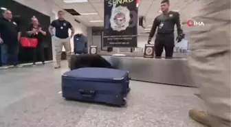 Paraguay'dan Türkiye'ye seyahat eden kadının valizinden 5 kiloya yakın kokain çıktı
