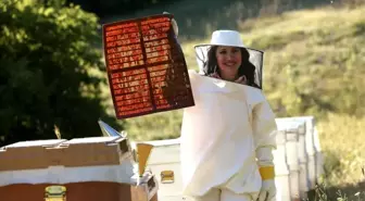 Propolis, burun spreyine girdi