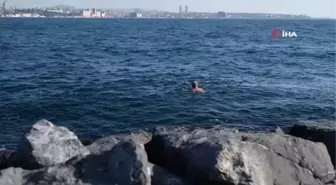 Soğuk havaya aldırış etmeden 10 yıldır her gün denize giriyor