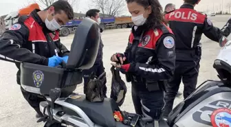 Yılbaşında Düzce'de kuş uçmayacak