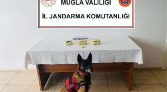 Üzerinde 1 kilo uyuşturucuyla yakalanan sürücü gözaltına alındı