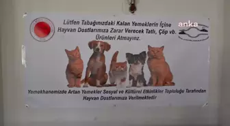 Yozgat'ta Üniversite Öğrencileri Artan Yemekleri Toplayarak, Sokak Hayvanlarını Besliyor