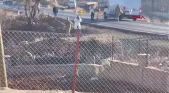 MARDİN'DE 6 KİŞİNİN ÖLDÜĞÜ KAZANIN NEDENİ GİZLİ BUZLANMA