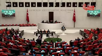 Meclis'te 'Çocuk İstismarı' Önergesi Görüşülüyor… İyi Partili Erel: 'Baskılar, Hakimlerin Bağımsız Karar Vermelerinin Önüne Geçiyor'