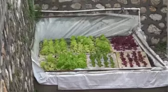 Çocuklar topraksız tarımı balık ve bitkinin birlikte yetiştirildiği sistemle öğreniyor