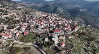 Kadınlar köy yaşam merkeziyle mantar üreticisi oldu