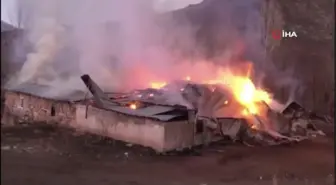 Mezrada çıkan yangında 2 ev, kiler ve samanlık kül oldu