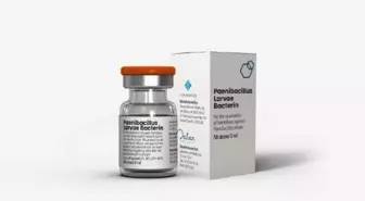 ABD Tarım Bakanlığı, arı aşısını onayladı