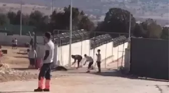 Köpeğin kürekle öldürülmesinde 2 sanığın tahliyesine başsavcılıktan itiraz