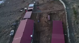 (TEKRAR) KARS - Kullanılmayan ahır sahipsiz hayvanlar için barınağa dönüştürüldü