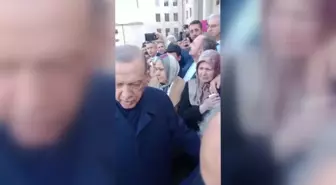 Bursalı Köylüler, Meralarını Satan AKP'li Belediyeyi Cumhurbaşkanı Erdoğan'a Şikayet Etti.