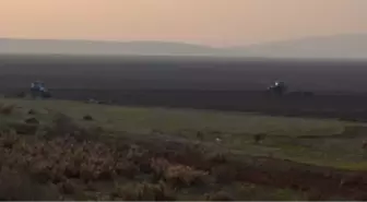 TİGEM, Marmara Gölü'nde buğday ve ayçiçeği yetiştirecek