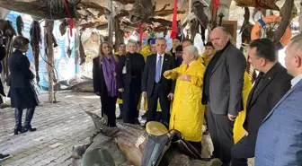 AK Parti Milletvekili Şirin Ünal: 'AK Parti, milletin partisidir. Her zaman seçime hazırdır'