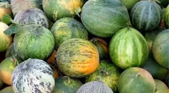 Karahallı Düğleği tescil aldı
