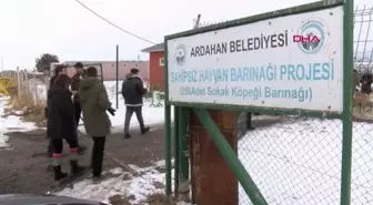 SOĞUKLARLA MÜCADELE EDEN DOĞU'DAKİ BARINAK HAYVANLARINA 40 TON MAMA DAĞITTILAR