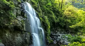 Çin'in Badagongshan Ulusal Doğa Koruma Alanı'nın Manzarası Büyülüyor