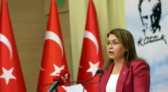 Gülizar Biçer Karaca: Son Yıllardaki Yargılamalar ve Mahkumiyet Sayısındaki Artışlar Gazeteci Olarak Çalışmanın Bedelini Ortaya Koymaktadır