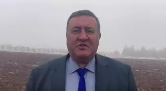 Ömer Fethi Gürer: '490 Bin Ton Buğday Tohumunun Yalnızca 89 Bin Tonunu Tigem Veriyor. Buğdayın 5'te 1 Tohumu Tigem Dışından Sağlanıyor'