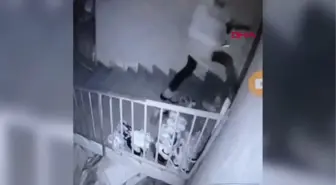 DAMADIN YARALADIĞI KAYINVALİDE 'OĞLUM YOK DİYE ÇOK SEVMİŞTİM?
