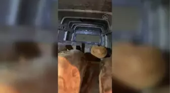 Ehliyetsiz sürücünün aracında kaçak kesilmiş 5 ton odun ele geçirildi