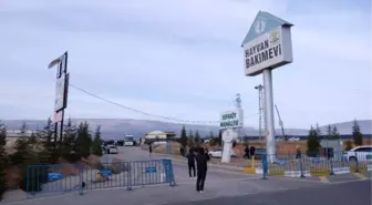 KÖPEĞİN KÜREKLE ÖLDÜRÜLMESİNDE 2 SANIĞIN TAHLİYESİNE İTİRAZ, REDDEDİLDİ