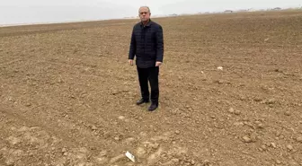 Kulu'da kuraklık nedeniyle çiftçiler zor günler yaşıyor