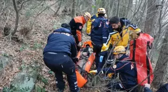 ORMANDA MAHSUR KALDI, TELEFONLA ARADIĞI EŞİNİN İHBARIYLA KURTARILDI