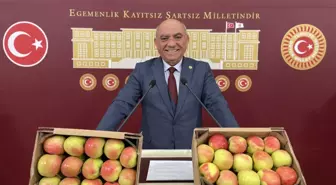 Amasya elması Meclis kürsüsünde