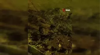 Metrobüs üst geçidinden atlayan bir kişi yaralandı