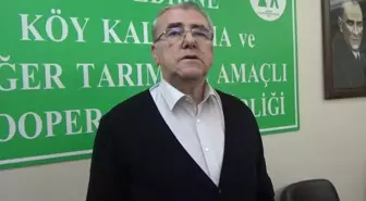 Çiğ İnek Sütünün Fiyatına Zam Geldi, Litresi 11 TL Oldu