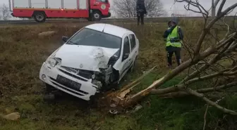 Edirne'de ağaca çarpan otomobildeki 3 kişi yaralandı