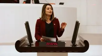 Aysu Bankoğlu: Üretime Devam Edilmesine Ses Çıkarmayan Genel Müdür ve Yardımcıları, Bakanlık Denetçileri Soruşturmaya Dahil Edilmiyor, İfadeye Bile...