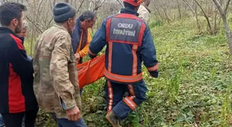 Kestikleri ağacın altında kaldılar