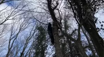 LÜTZERATH - Almanya'da 'linyit köyü' çevresinde yaklaşık 35 bin çevreci eylem yaptı