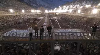Zincidere 100. Yıl Mesire Alanı'nda çalışmalar devam ediyor