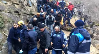 Av için evden çıkıp dönmeyen şahıs ormanda ölü bulundu