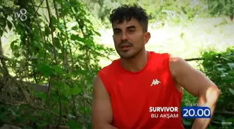 Survivor fenomenler hangi takıma geçti? Survivor influencerlar hangi takıma geçti, kim Ünlülere geçti, kim Gönüllülere geçti?