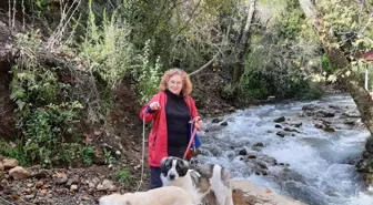 Muğla'da Köpeği Tüfekle Öldürülen Kadın Şikayetçi Oldu